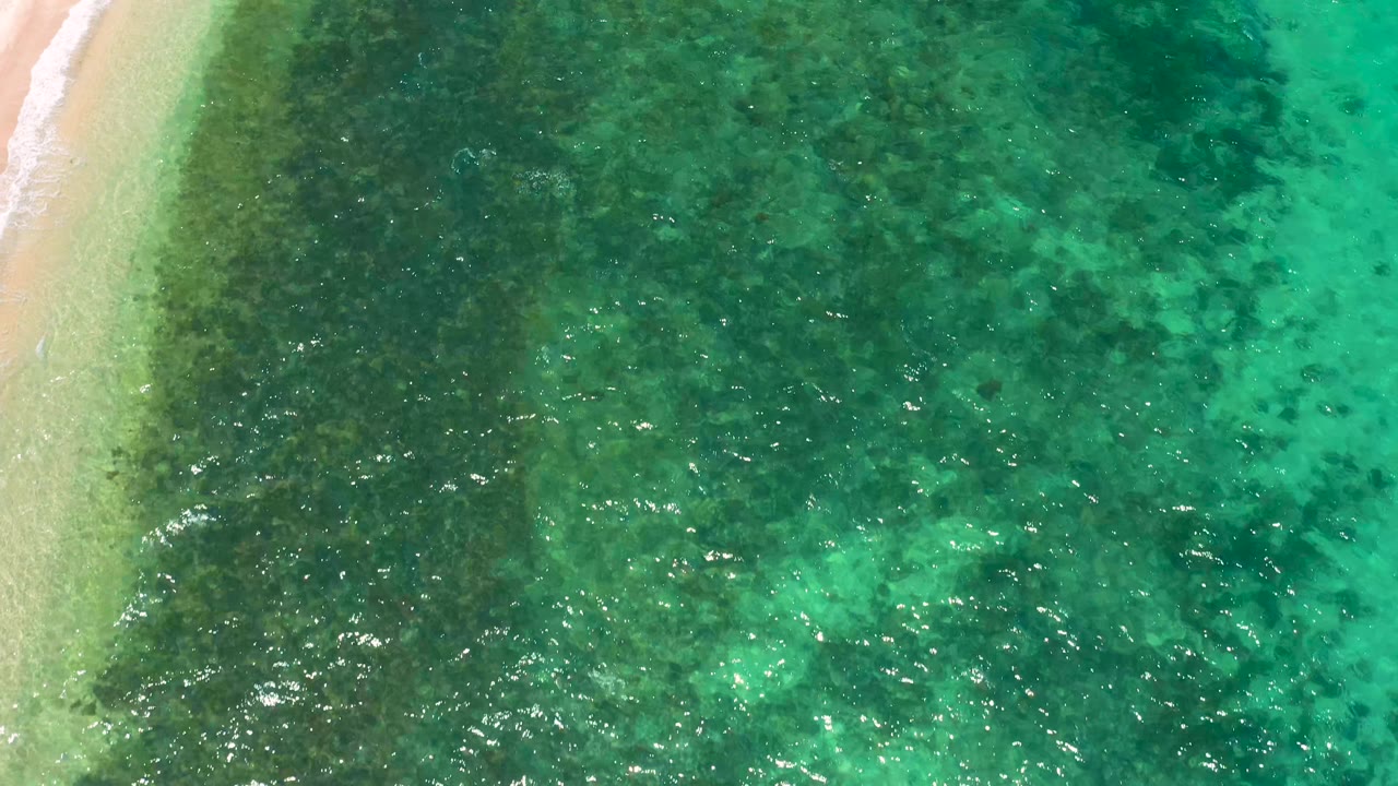 Aerial frame over El Sargento La Ventana water with the pale shoreline running down the left side, darker submerged areas across the center, and no visible people.