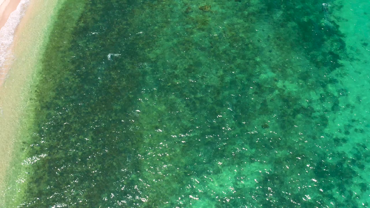 High overhead view of green coastal water in El Sargento La Ventana, Mexico, with the sandy strip partly visible at left, speckled dark patches below the surface, and no visible people.