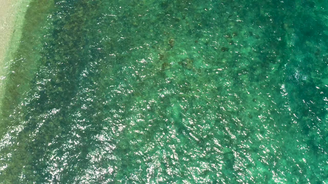 Later overhead frame of clear green water in El Sargento La Ventana, Mexico, with a faint pale strip along the left edge and no visible people.