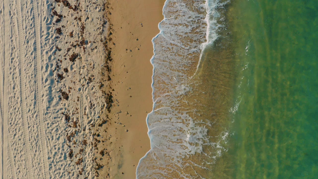 Overhead shoreline with green water, white surf, sand, and tire tracks.