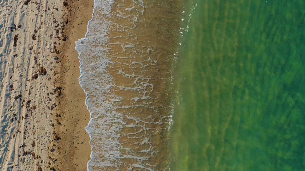 Top-down view of the El Sargento La Ventana coast with broad green water filling the right side, a pale surf edge, and seaweed scattered across the left sand, with no visible people.