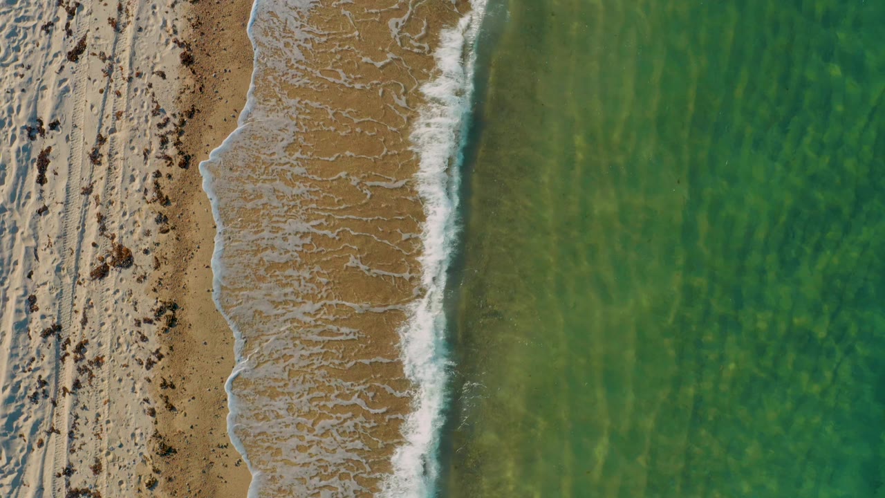 Overhead El Sargento La Ventana beach frame with a diagonal foam edge, wet tan sand, dark seaweed patches, and green water to the right, with no visible people.