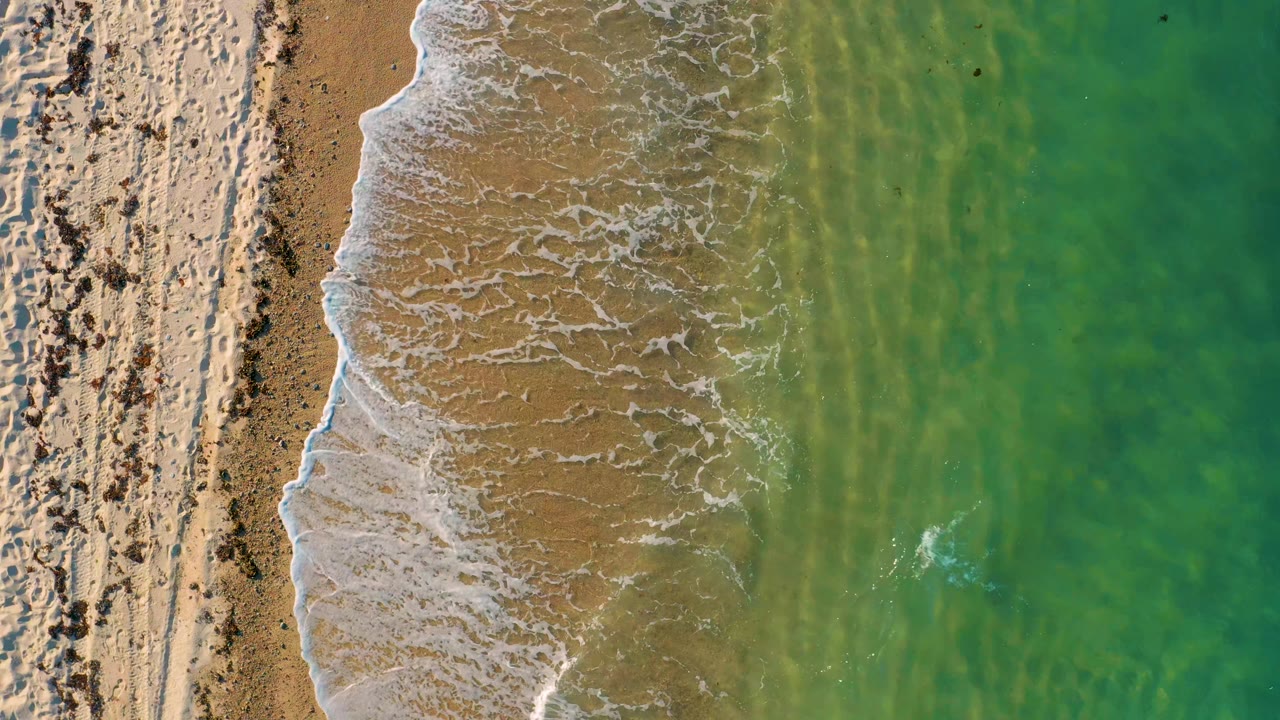 Overhead frame in El Sargento La Ventana, Mexico, where the foam line sits close to the sand strip and green water fills most of the right side, with no visible people.