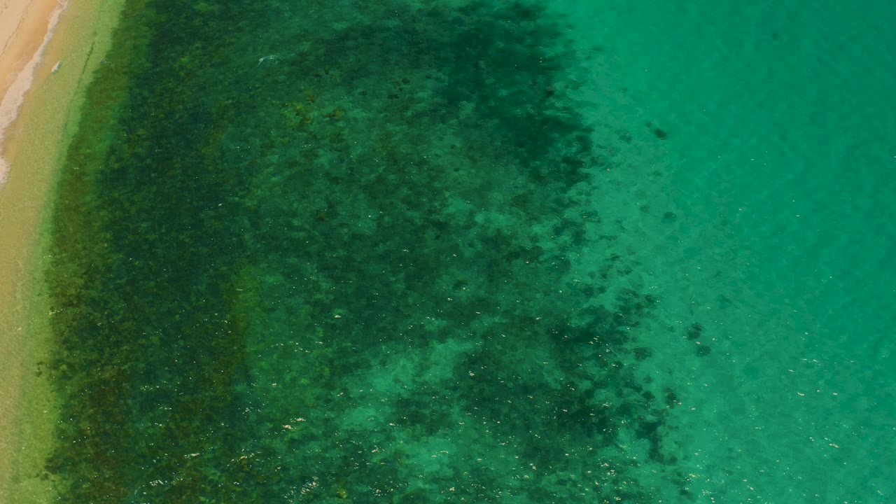 Overhead frame from El Sargento La Ventana, Mexico showing sandy shoreline at left, dark green aquatic growth in shallow water, turquoise water at right, and no visible people.