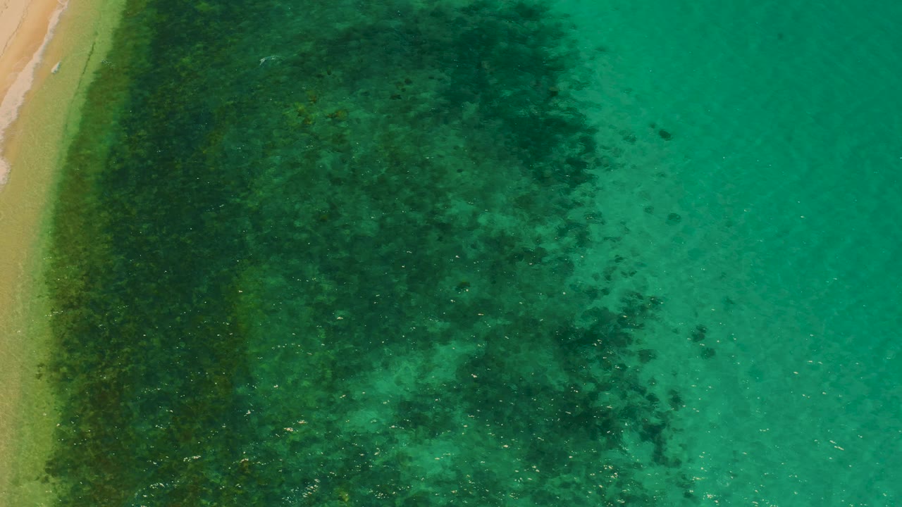Aerial frame from El Sargento La Ventana, Mexico with the beach strip held along the left edge, dark plant cover spreading through the middle, clearer water to the right, and no visible people.