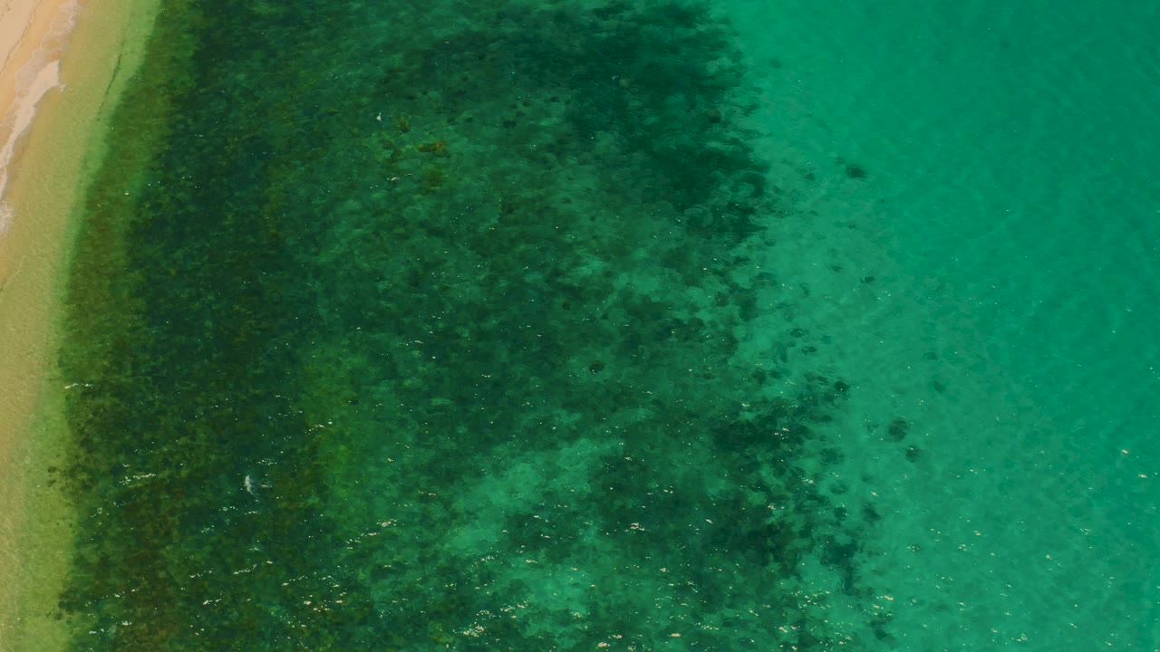 Green shallow water with a sandy shoreline and darker plant cover.