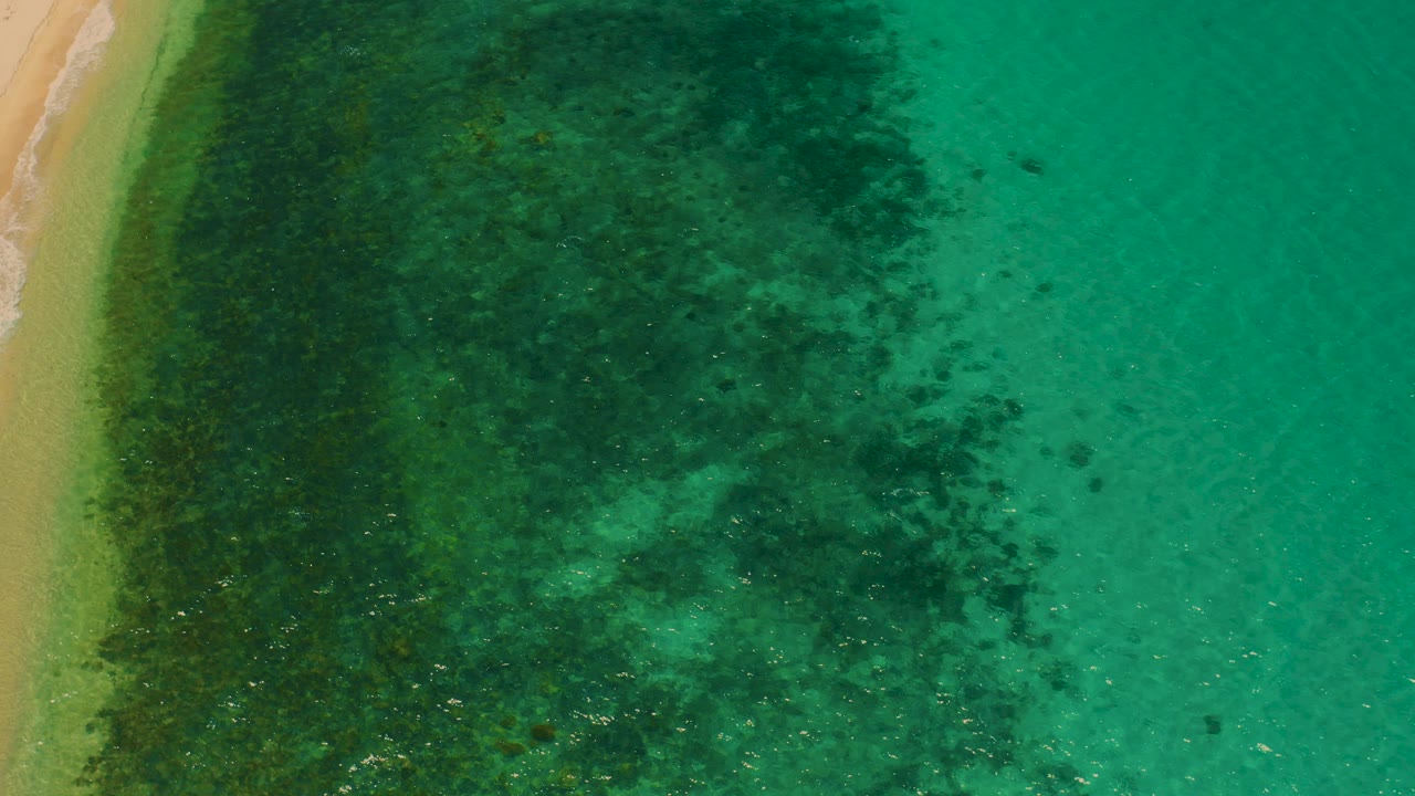 Overhead frame from El Sargento La Ventana, Mexico showing tan beach at far left, dark green seaweed in shallow water, aquamarine water to the right, and no visible people.