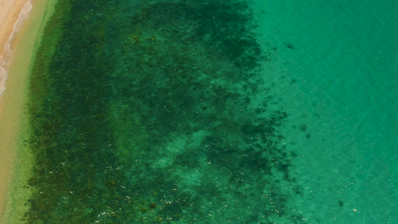 Aerial shoreline with dark seaweed band and clear green-blue water.