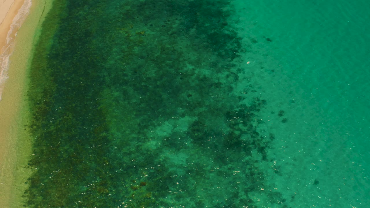 Top-down coastal frame from El Sargento La Ventana, Mexico showing tan sand on the left, mottled green shallows across the center, turquoise water on the right, and no visible people.