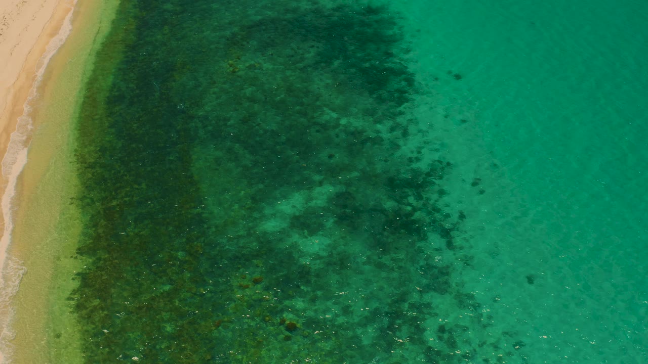 Top-down view in El Sargento La Ventana, Mexico, with a slim sand strip on the left, darker reef-like or seaweed texture below the surface, open teal water on the right, and no visible people.