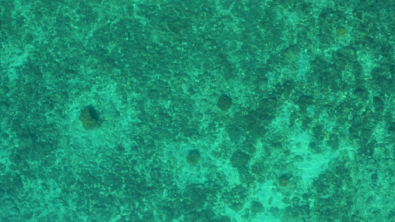 Overhead view of green-blue sea at El Sargento La Ventana, Mexico, with dark submerged rocks, pale sandy patches, rippled water texture, and no visible people.