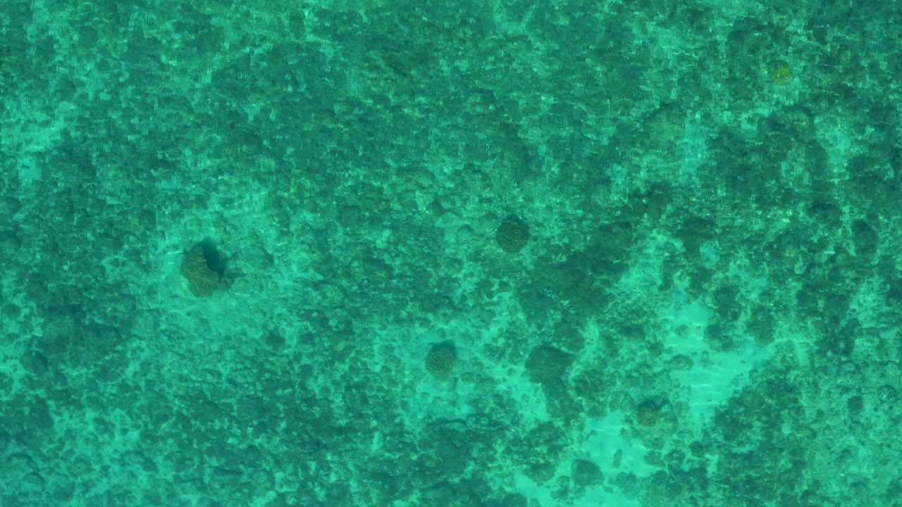 A second overhead frame from El Sargento La Ventana, Mexico, shows mottled green water, darker rock marks near the upper half, pale seabed texture, and no visible people.