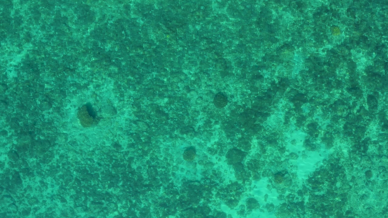 Overhead turquoise-green water at El Sargento La Ventana, Mexico, reveals scattered submerged stones, pale irregular seabed areas, soft wave texture, and no visible people.