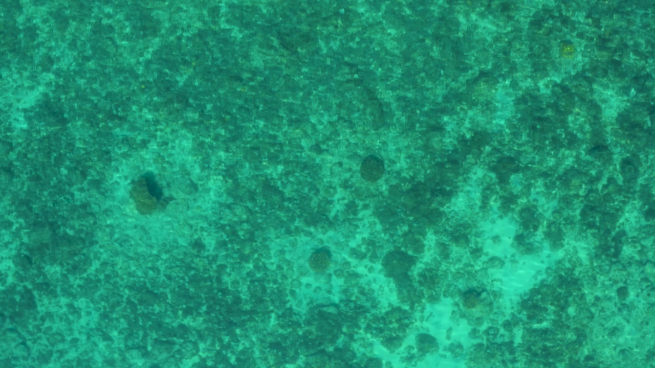Top-down sea texture with dark rock patches and lighter underwater sand.