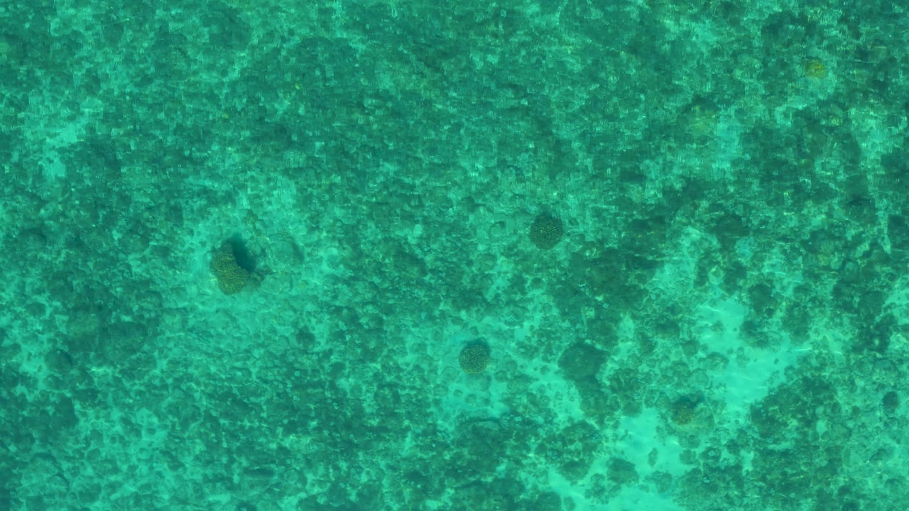 Aerial frame of mottled green water at El Sargento La Ventana, Mexico, with small dark patches beneath the surface and no visible people.