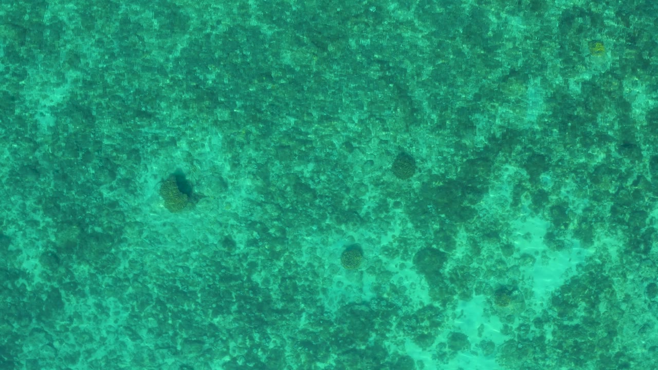 Overhead view of aqua green ocean water in El Sargento La Ventana, Mexico, showing scattered dark underwater spots and no visible people.