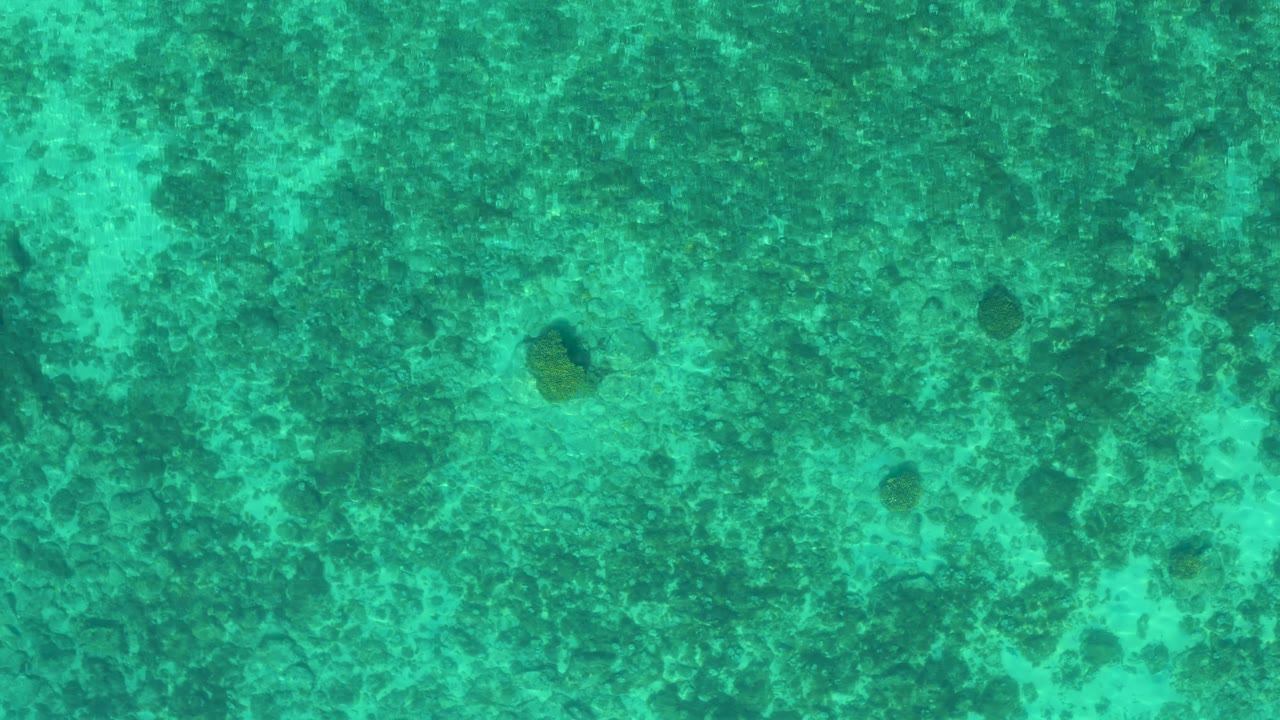 Clear blue-green water fills the frame in El Sargento La Ventana, Mexico, with sunlight ripples shifting across a mottled shallow bottom and no visible people.