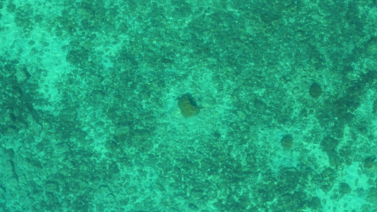 Top-down tropical water texture in El Sargento La Ventana, Mexico, with small dark patches and pale turquoise areas visible beneath the rippling surface, no visible people.