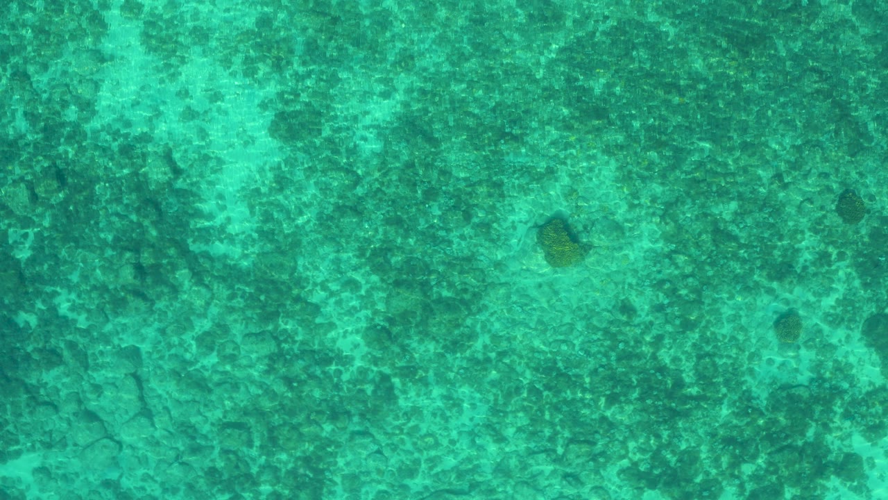 Overhead view of turquoise water in El Sargento La Ventana, Mexico, with mottled darker seafloor texture and no visible people.