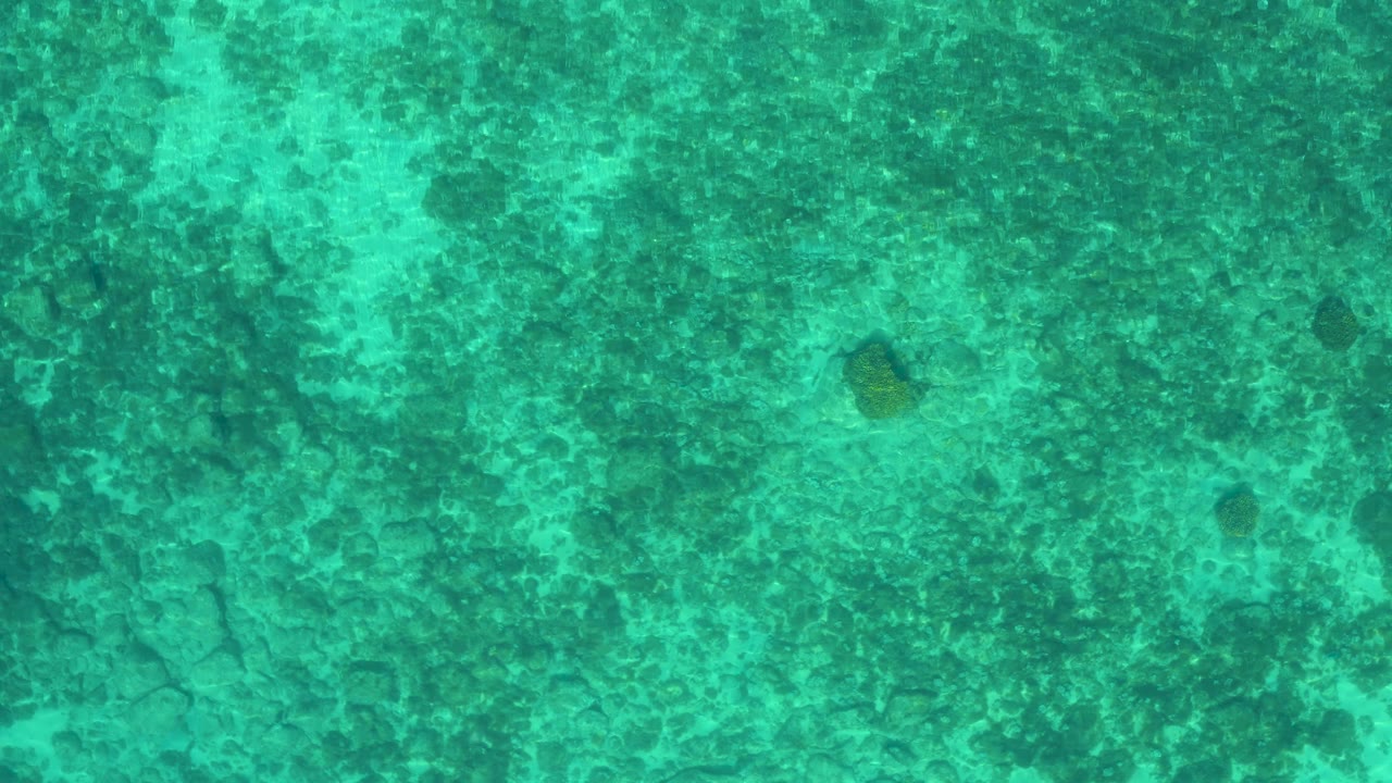 Clear aqua water with mottled reef-like texture below