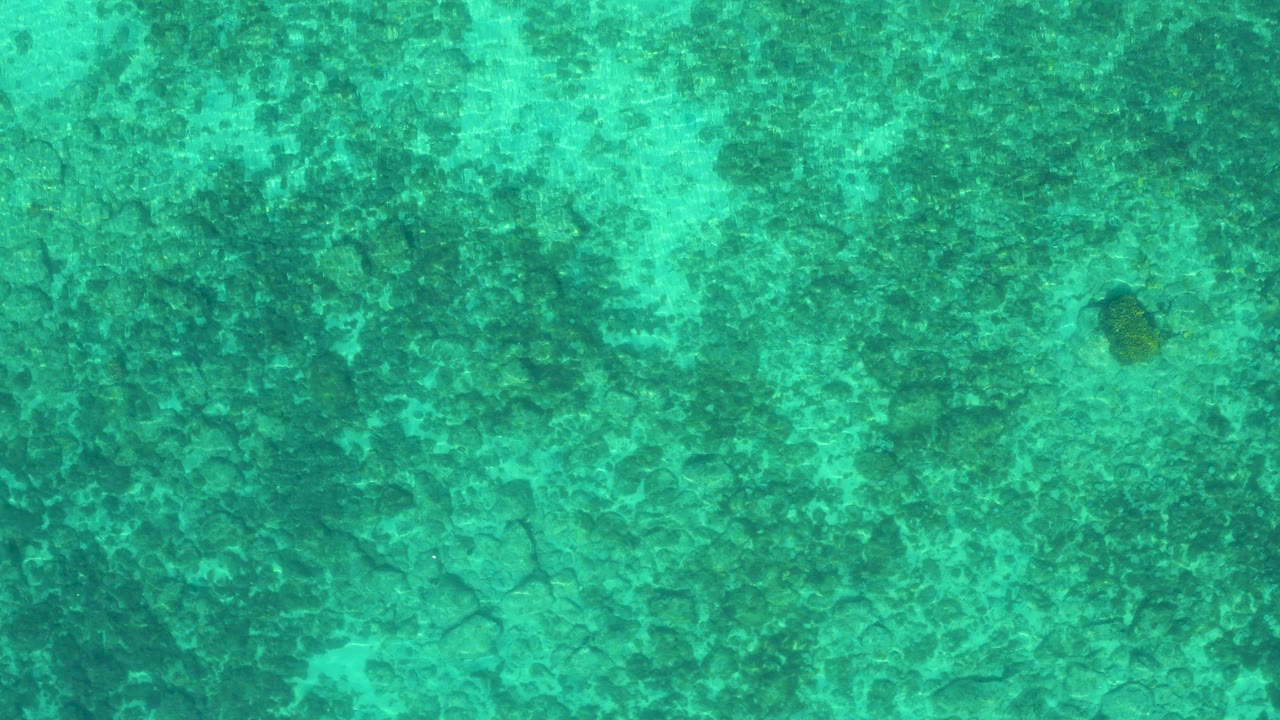 Top-down view of green shallow water and mottled dark seabed texture in El Sargento La Ventana, Mexico, with no visible people.