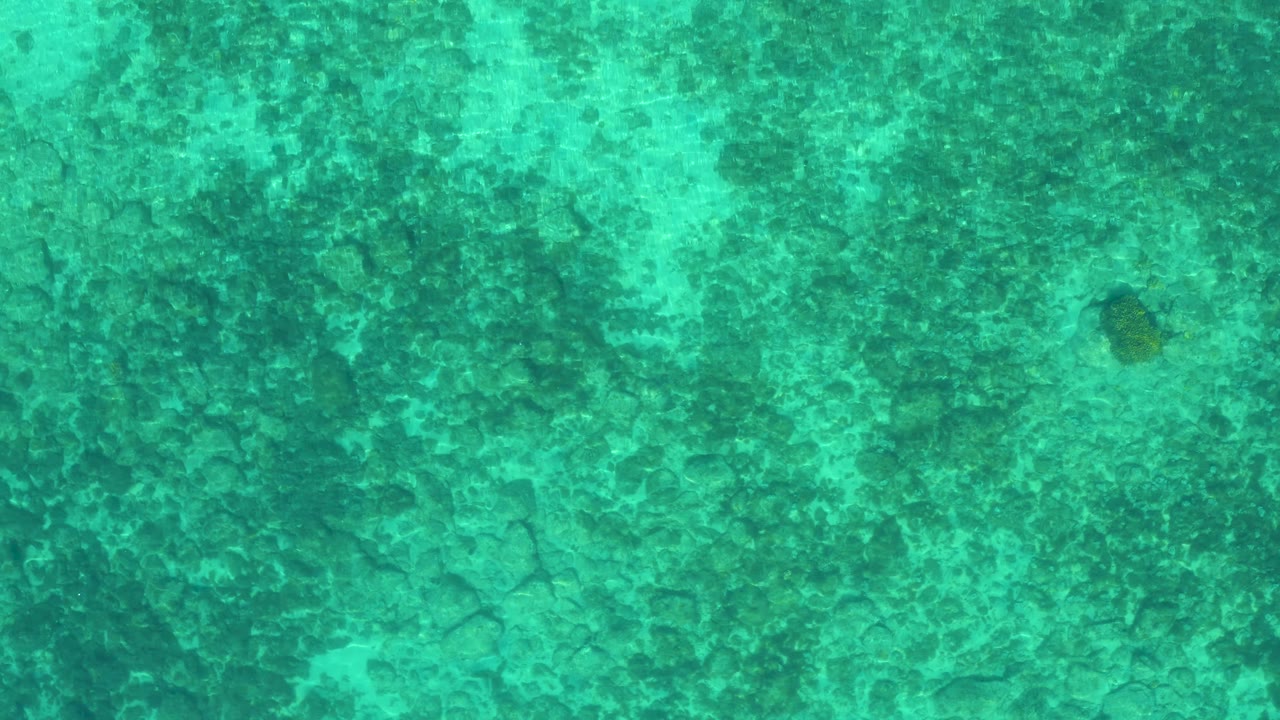 Aerial frame of turquoise-green water with scattered darker patches across the seabed in El Sargento La Ventana, Mexico, and no visible people.