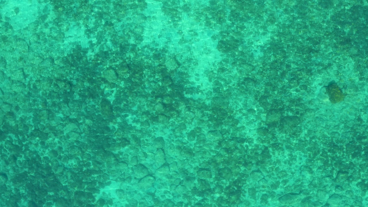 Overhead view of green ocean water over a mottled seabed pattern in El Sargento La Ventana, Mexico, with no visible people or structures.