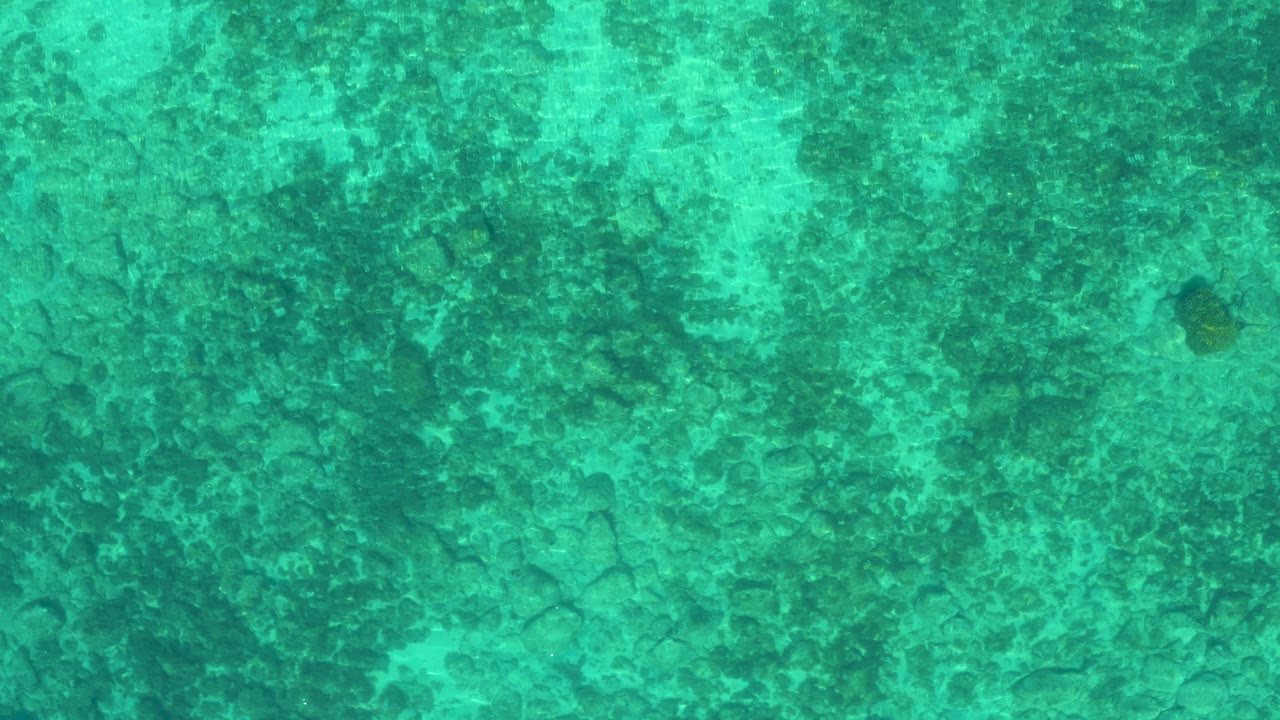 Top-down aerial water texture with uneven dark reef-like or organic areas under green water in El Sargento La Ventana, Mexico, with no visible people.