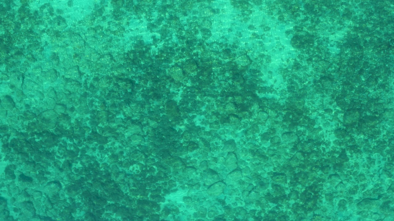 Overhead turquoise seawater with mottled seabed texture