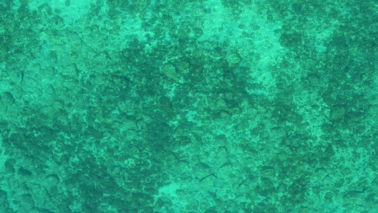 Aerial top-down frame of shallow green turquoise water with darker underwater patches and no visible people in El Sargento La Ventana, Mexico.