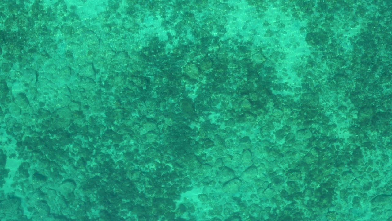 Mid-clip overhead view of green-blue shallow water, where darker seabed patches spread across the frame and no visible people appear.