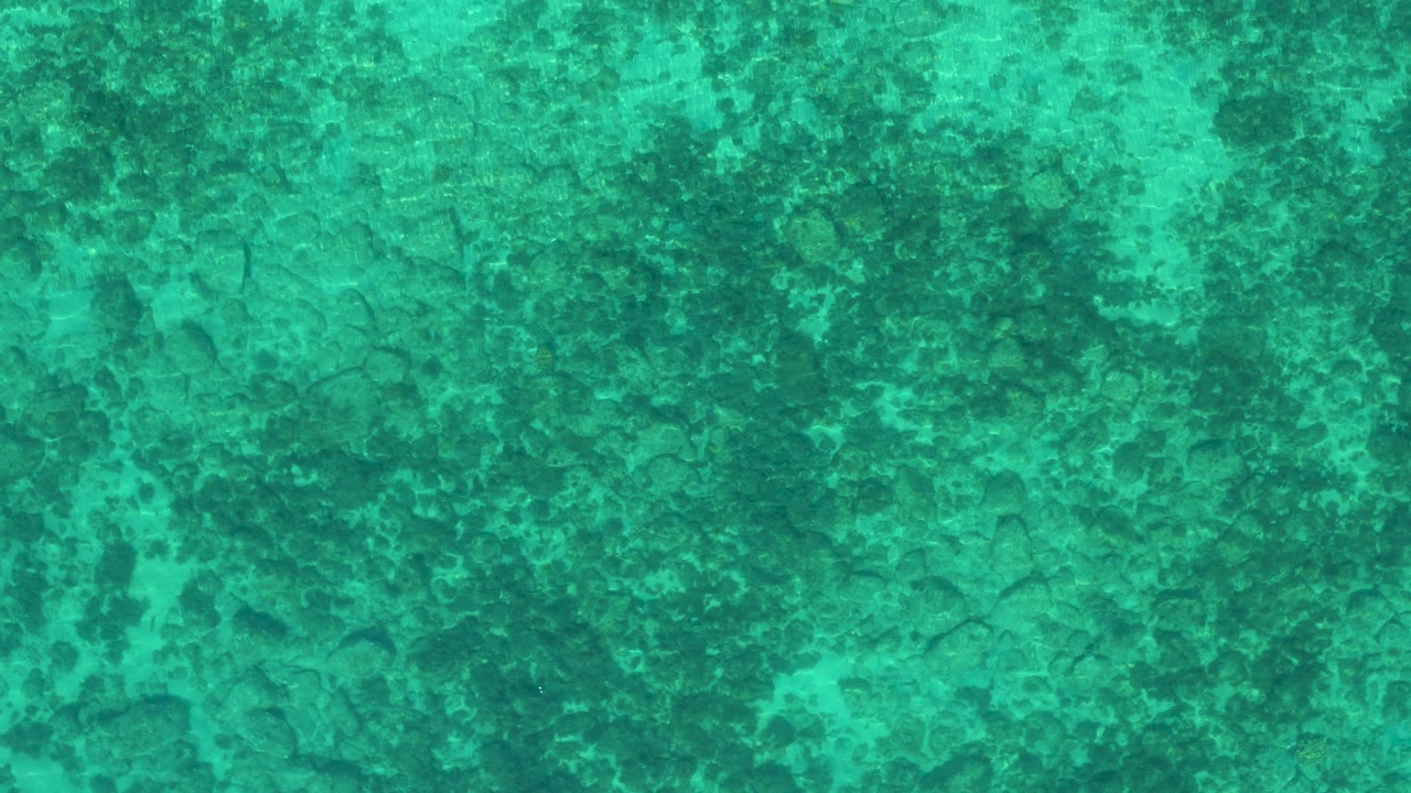 Top-down view of turquoise ocean water in El Sargento La Ventana, Mexico, with dark speckled patches below the surface and no visible people.
