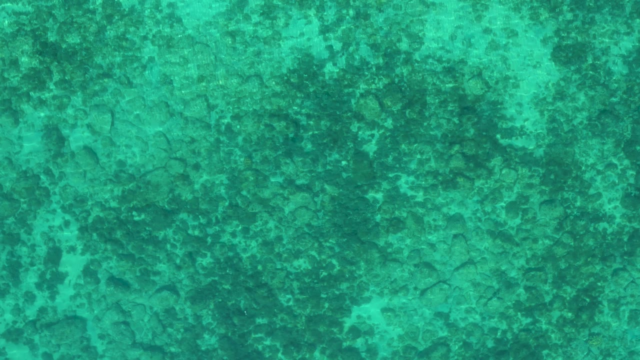Speckled blue-green water with faint ripples.