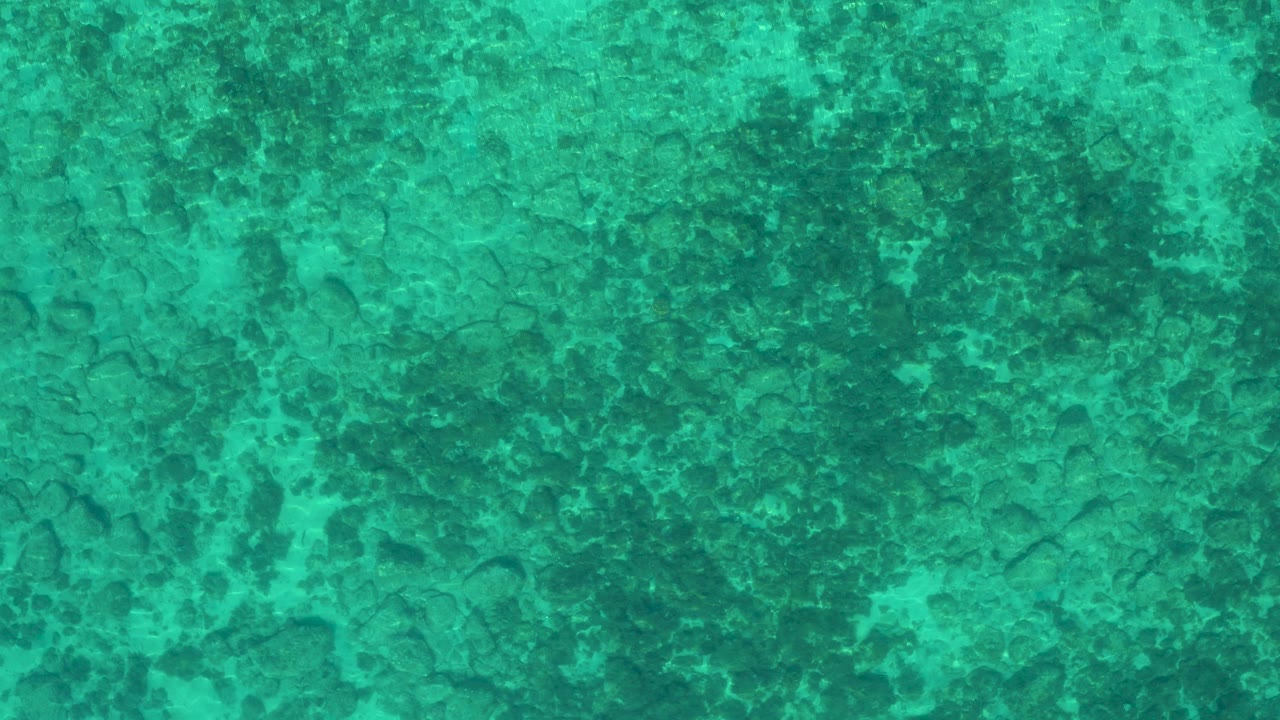 Overhead green seawater with dark submerged patches