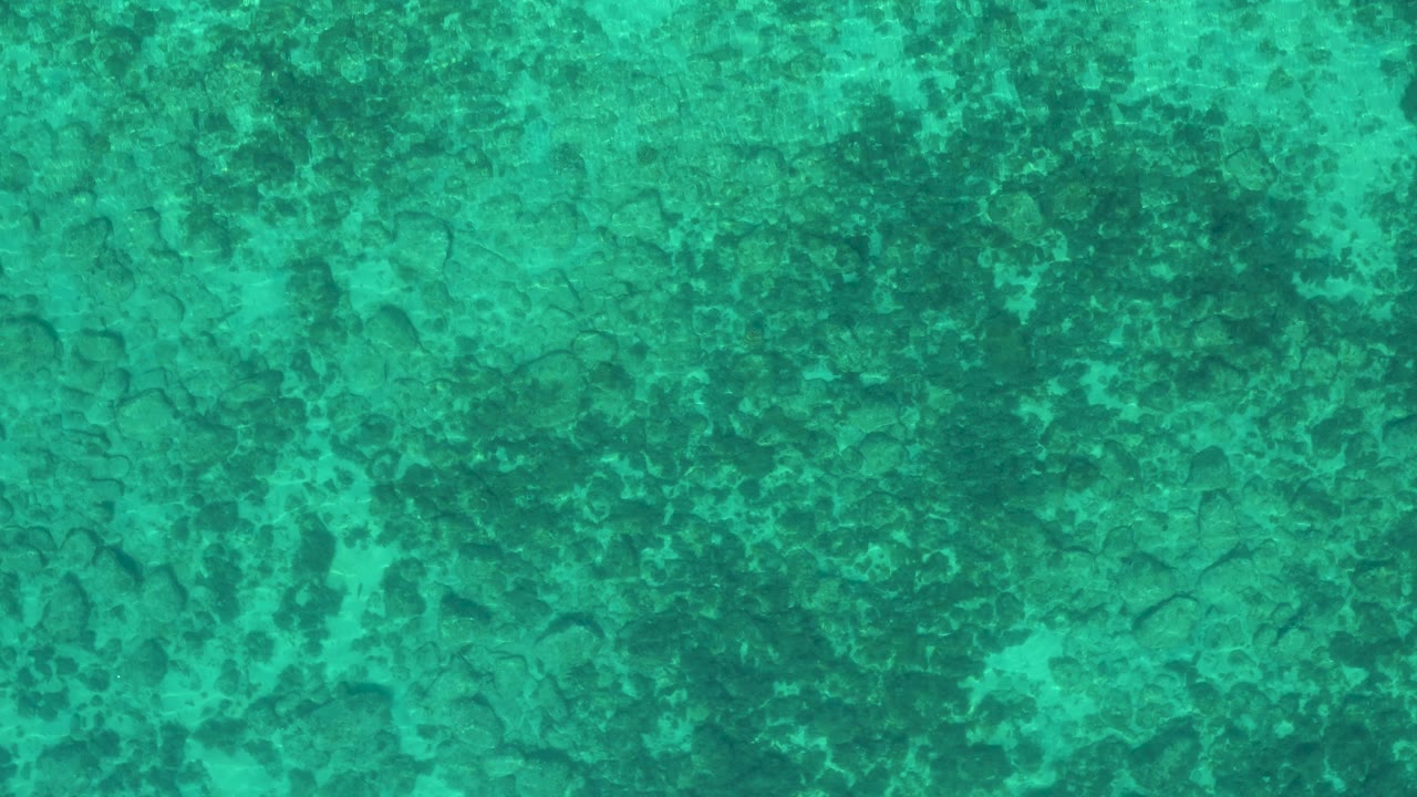Top-down water view in El Sargento La Ventana, Mexico, with green surface color and darker seabed markings visible below, with no visible people.