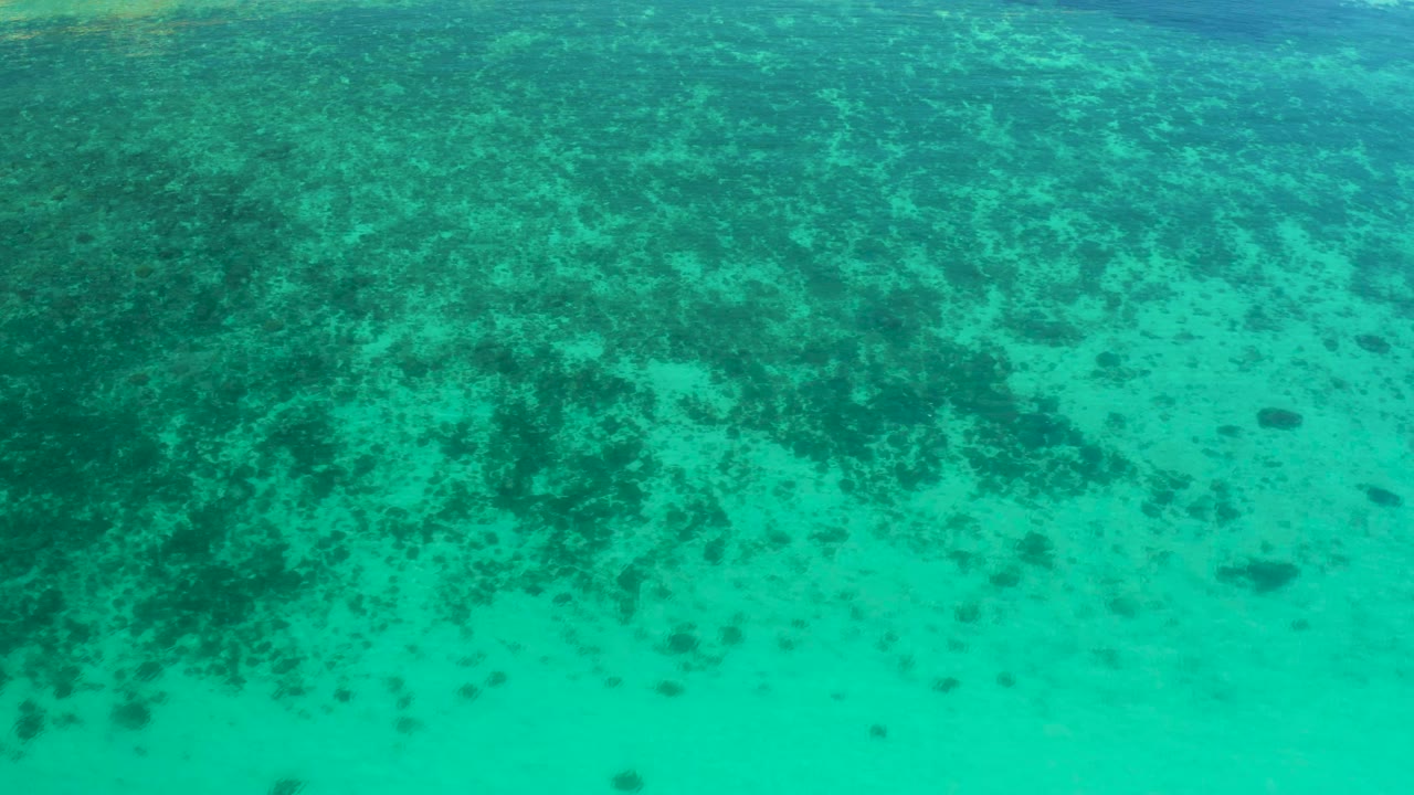 The second frame keeps the El Sargento La Ventana sea floor in view, with darker plant cover spreading across the upper half and no visible people.