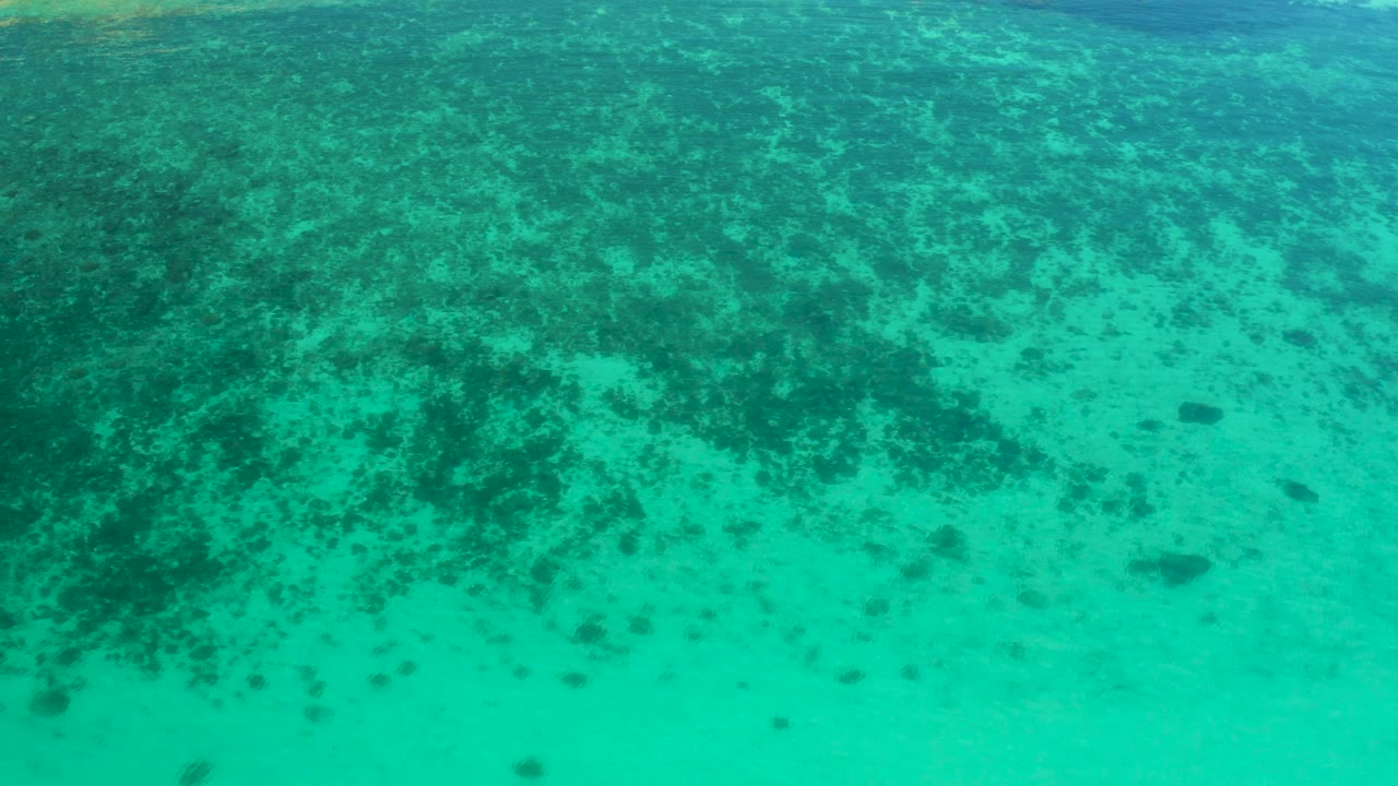 A turquoise overhead view in El Sargento La Ventana shows a sandy bottom broken by broad green vegetation patches and scattered dark marks, no visible people.