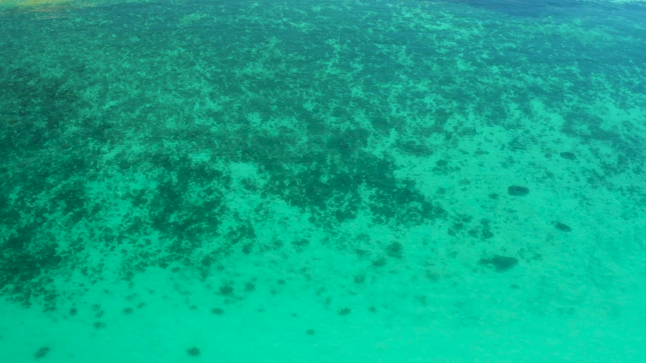 Midway through the clip, the El Sargento La Ventana water remains clear, with a darker green plant mass crossing the sandy floor and no visible people.
