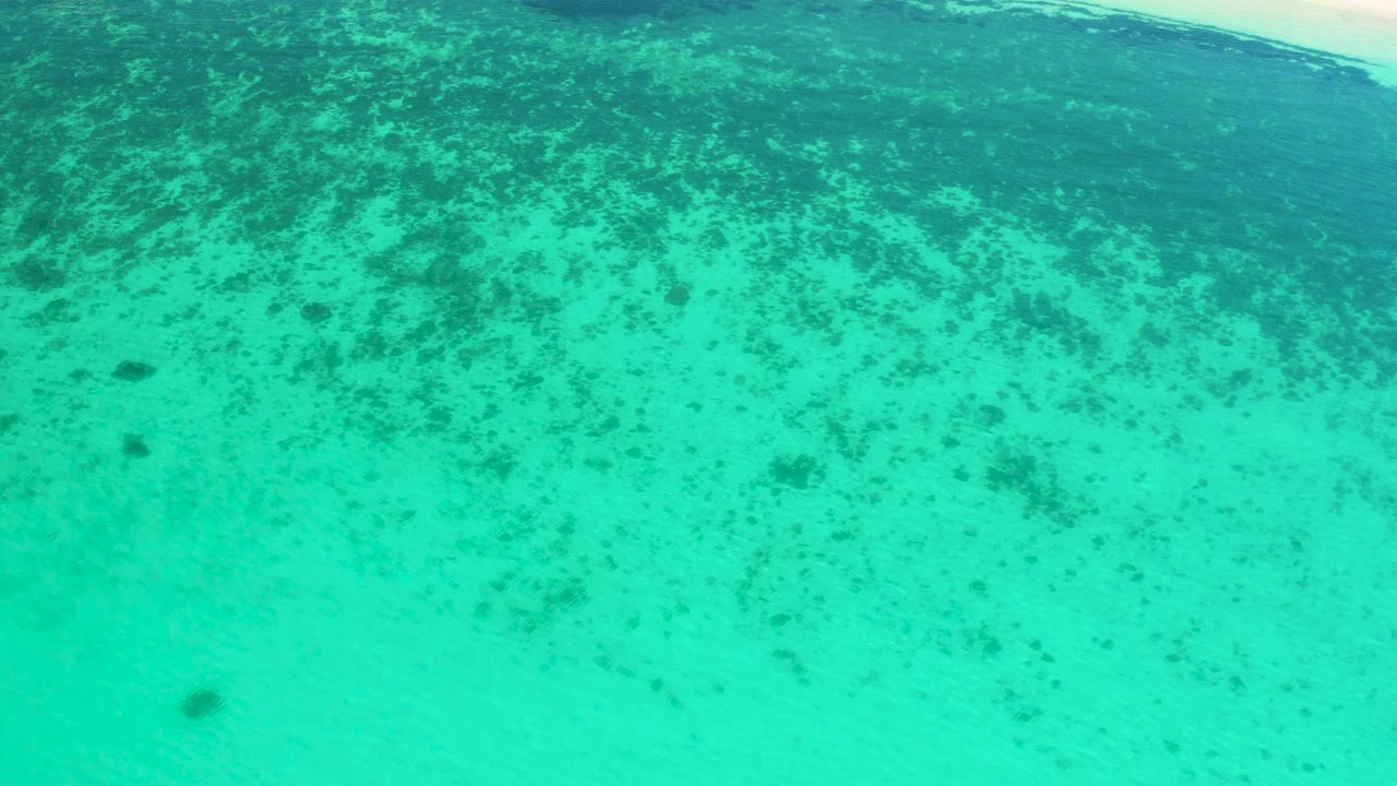 Clear turquoise ocean in El Sargento La Ventana, Mexico, with mottled dark reef or seaweed texture below the surface and a small dark shape left of center, no visible people.