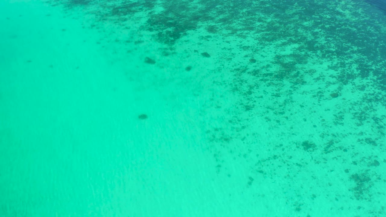 High downward view of clear shallow water in El Sargento La Ventana, Mexico, with darker underwater growth along the upper frame and no visible people.