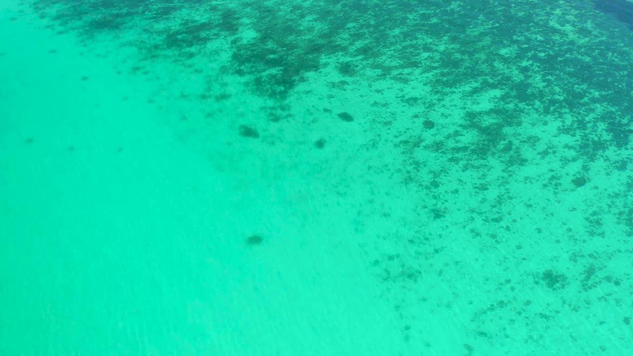 Light blue-green water fills the frame in El Sargento La Ventana, Mexico, with scattered darker algae or seaweed shapes visible under the surface and no visible people.