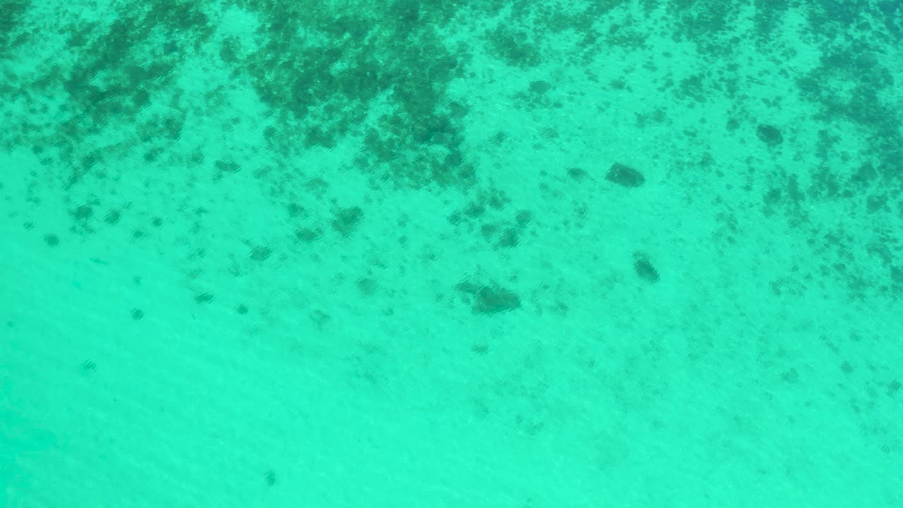 Turquoise water with dense dark seabed texture near the top