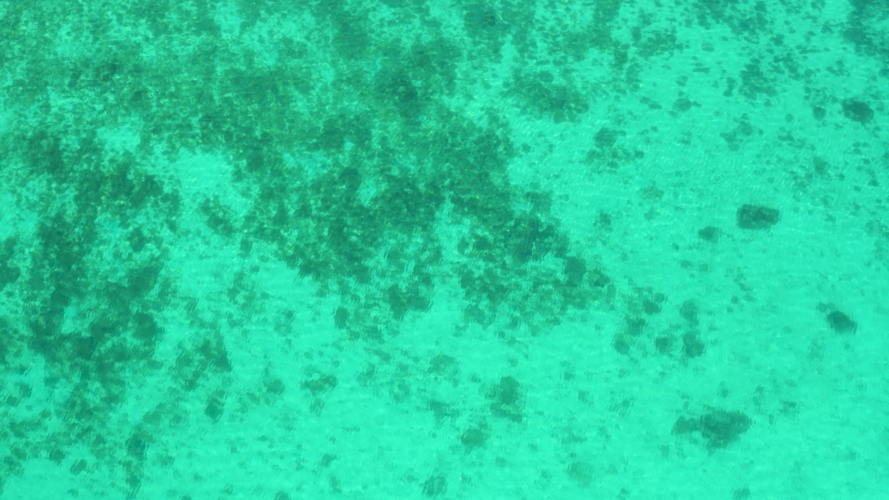 Turquoise underwater view of the sandy seabed in El Sargento La Ventana, Mexico, with scattered dark marine plant patches and no visible people.