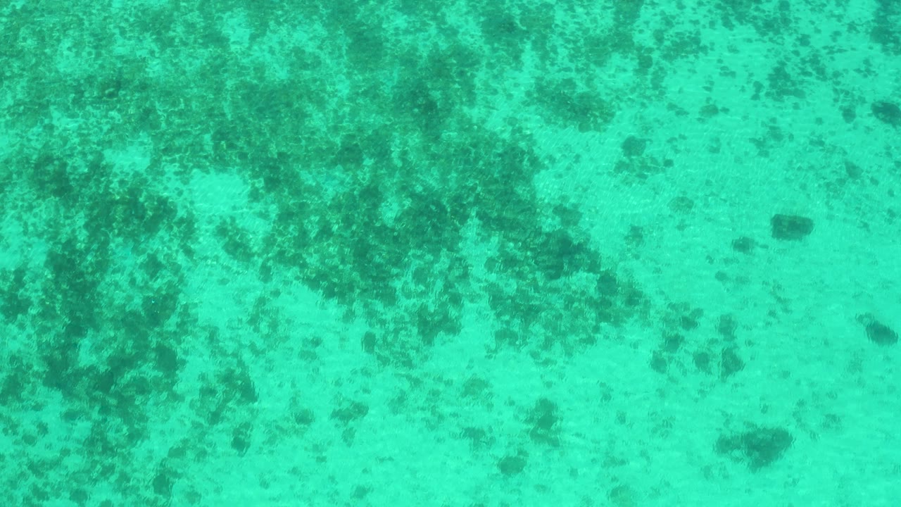 A downward underwater view in El Sargento La Ventana, Mexico, shows pale sand with darker marine plants concentrated near the top edge and no visible people.