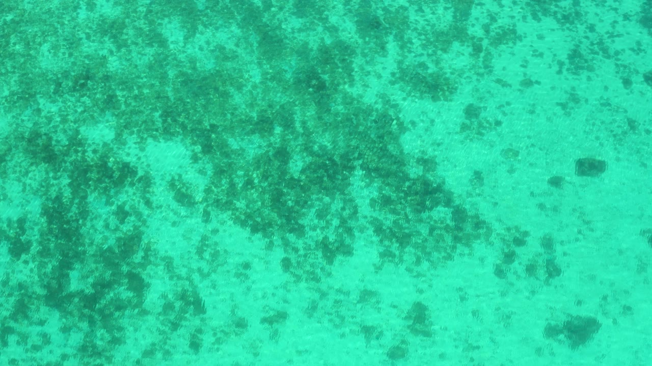 Mottled underwater texture fills the frame in El Sargento La Ventana, Mexico, with turquoise water, sandy bottom, scattered darker growth, and no visible people.