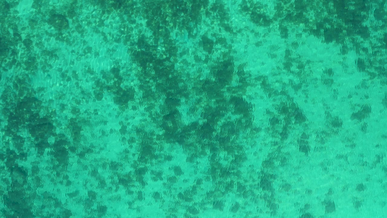 Overhead green ocean water with darker sea bottom patches