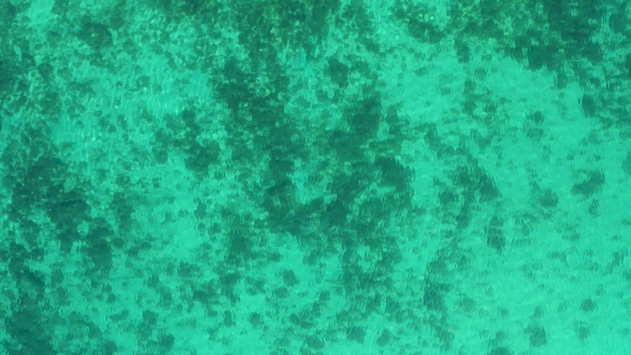 Clear turquoise-green water fills the frame, with mottled darker sea bottom shapes visible through the rippled surface and no visible people.