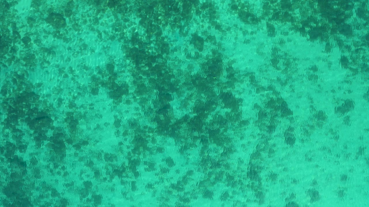 A straight-down frame shows green ocean surface over patchy reef-like sea floor patterns near El Sargento La Ventana, Mexico, with no visible people.
