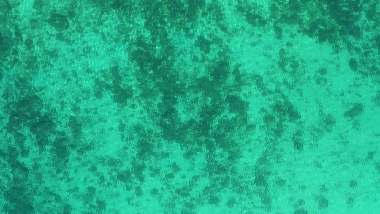 Rippled green sea water covers the frame, revealing scattered dark submerged textures beneath the clear surface and no visible people.