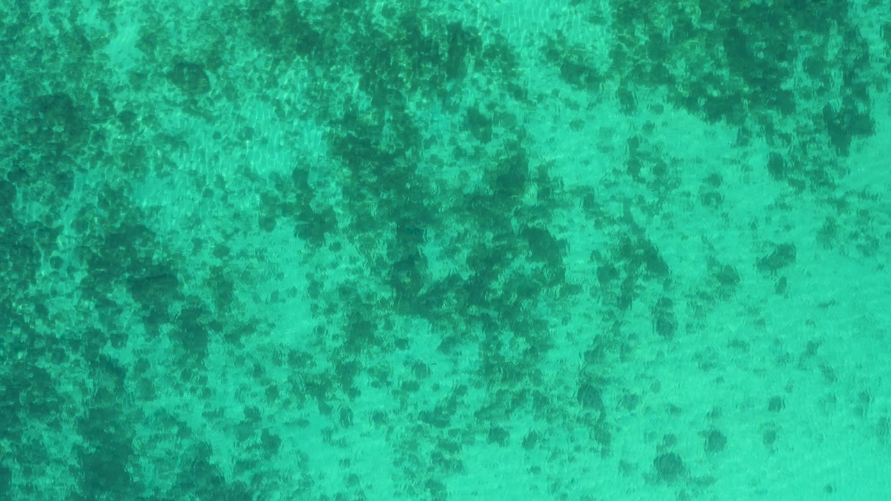 Second frame shows aqua sea in El Sargento La Ventana, Mexico, with mottled dark seabed detail spread across the upper half and no visible people.